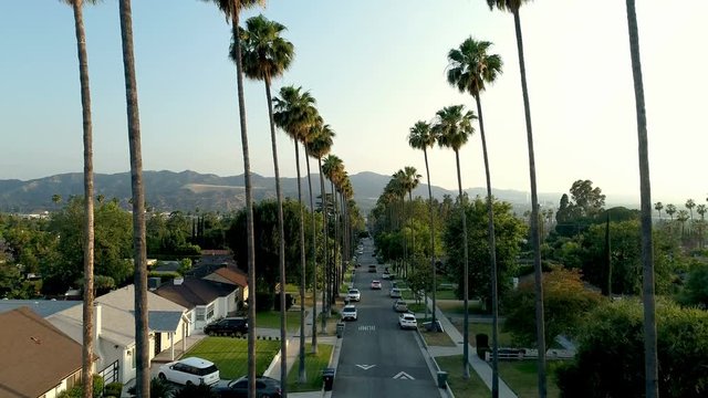 Aerial drone of palm tree lined neighborhood in Los Angeles, CA 4K UHD