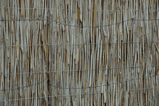 gray wooden texture of dry thin reed in the wall