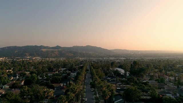 Fast drone rise in palm tree neighborhood in Los Angeles