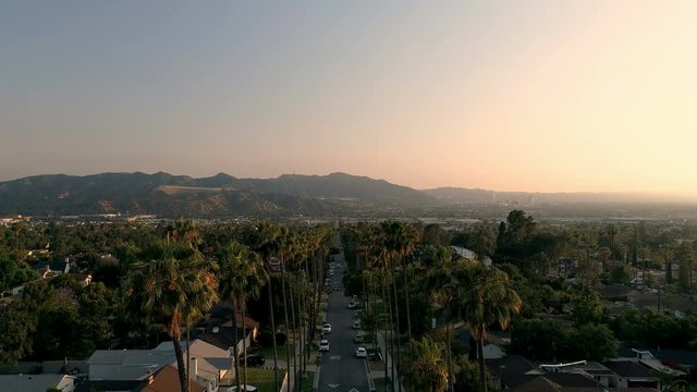 Establishing shot dropping down into palm tree neighborhood in Los Angeles, CA