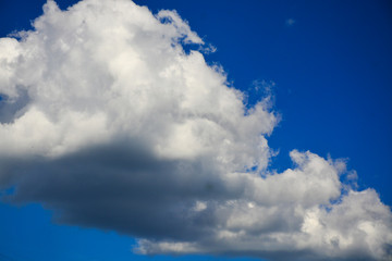 Fototapeta premium sky and clouds