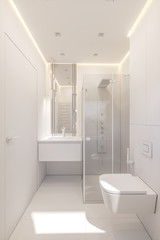 3d illustration of a bathroom in a private cottage. Interior design in white
