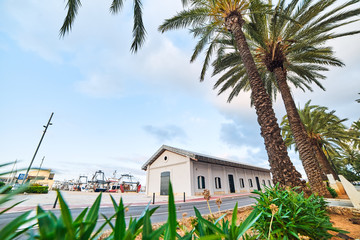 DENIA, SPAIN - JUNE 13, 2019: Spanish town Denia with beautiful street and palms.