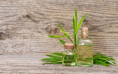 Herbal eucalyptus oil essence wooden background