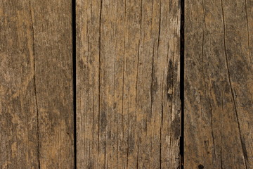 Texture Wood background tree old cracks