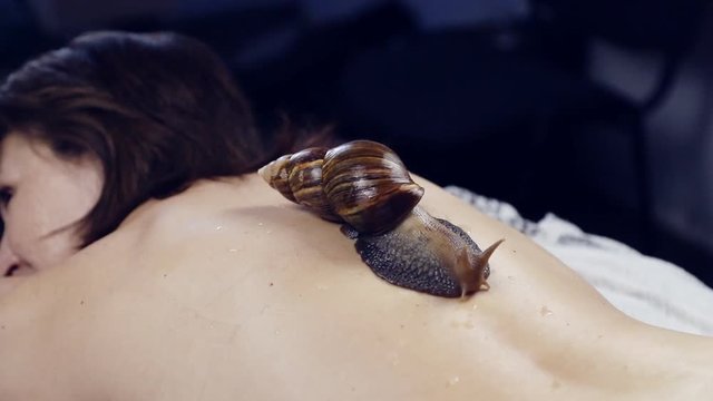 Large snails on the tailbone. The girl in the spa receives a massage of the tailbone with Achatina snails. Treatment with Achatina snails on the body of a woman with problem skin.