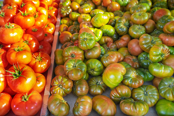 jitomate, tomate rojo y raff en puesto de mercado exterior