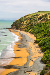 Sea Coast Beach New Zealand Landscape, Green Hills With Cliffs On Coastal Landscape Background