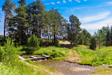 rill in the countryside on a sunny summer day
