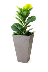 fiber pots with fake plant ,Modern Cement pots with plants , Modern flowerpot
