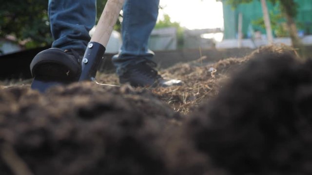 farmer digging the ground with a shovel garden close-up. slow motion video. man farmer working in lifestyle the garden agriculture concept summer garden