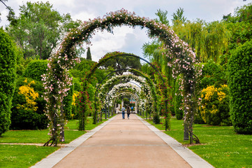 beautiful path with arches and white flowers very romantic.