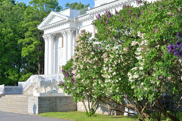 Yelagin Palace in St. Petersburg.
