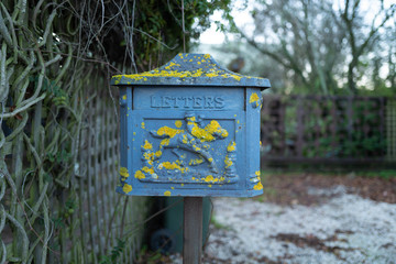 Old blue mail box with lichen growth