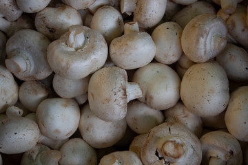 Mushrooms in basket, rustic wood background