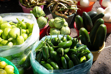Close up of fresh, hot jalapeno peppers