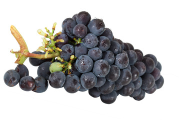 Isolated grapes