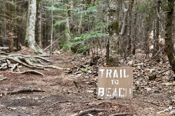 Trail to the beach.  - 274336951