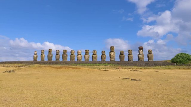 DRONE: Megalithic moai sculptures on Rapa Nui under the clear blue sunny sky. Flying across a dried up grassfield and towards large volcanic statues with human faces on picturesque Easter Island.