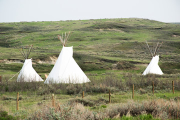 Teepes in the field in the Grasslands National Park