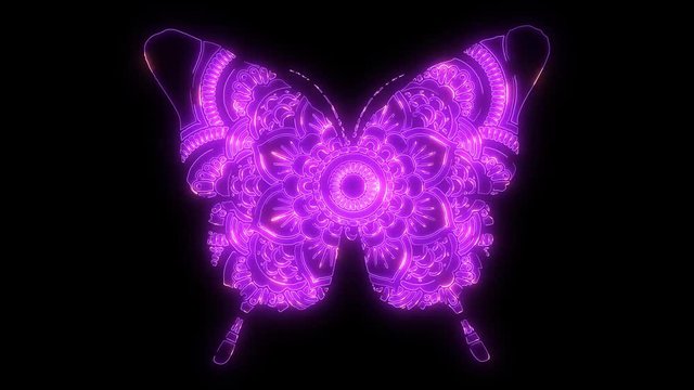 Graphic icon of butterfly laser animation