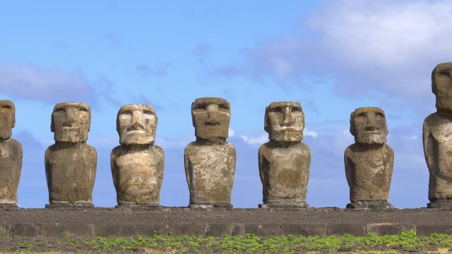 CLOSE UP: Picturesque view of a row of famous ancient volcanic statues in Chile. Spectacular shot of world famous moais in Rapa Nui on a sunny summer day. Intriguing monoliths shaped as human beings.