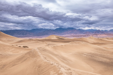 Fototapeta na wymiar Death Valley National Park Dunes