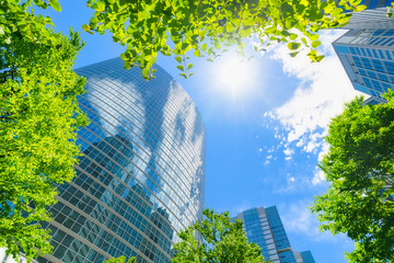 爽やかな緑のビジネス街