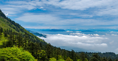 Fototapeta na wymiar The Natural Scenery of Emei Mountain Leidong Ping in Sichuan Province, China