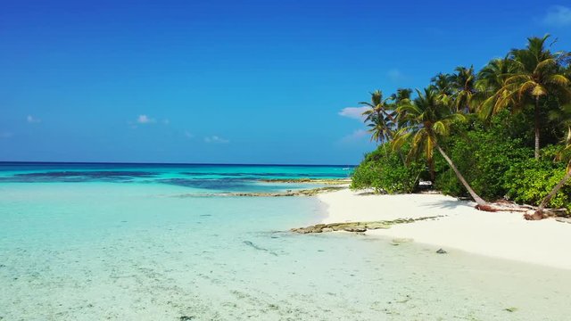 dolly out drone shot over a palm tree beach and clear blue water of Saona, Dominican Republic