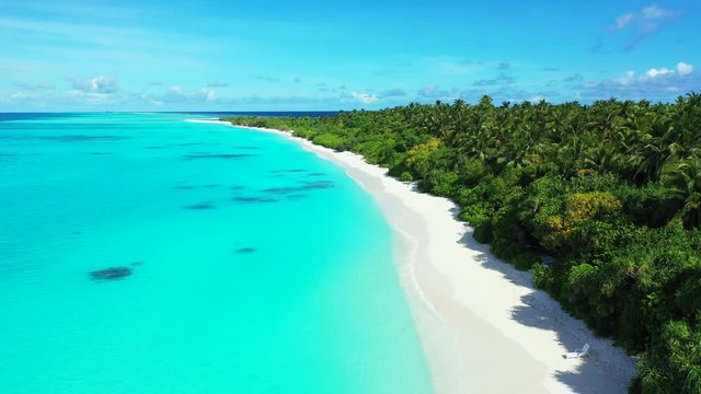 aerial drone shot  over a palm tree beach and clear blue water of Saona, Dominican Republic