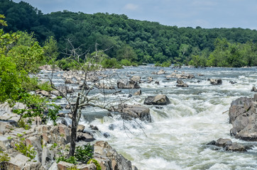 Fototapeta na wymiar Waterfalls of Great Falls Park ,va USA