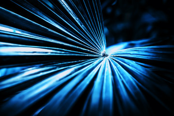 abstract nature background  ,palm leavf texture  with blue filter effect