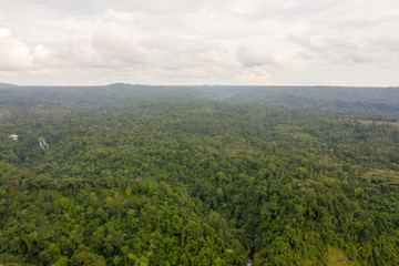 Fototapeta na wymiar Aerial View of Rain Forest in Boleven Highland, Champasak, Lao PDR
