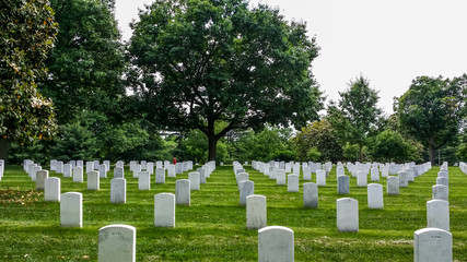 Arlington Cemetery in Virginia, America