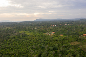 Tropical Forest in Laos