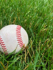 baseball on grass