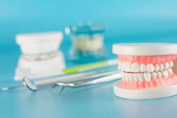 Fototapeta na wymiar Dental tool with model in dental care concept.