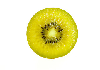 kiwi isolated on white