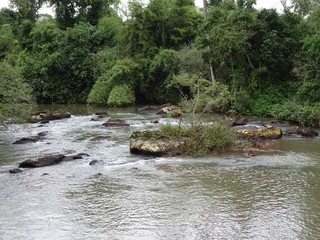 Landscape of Iguazu Falls National Park in Argentina and Brasill