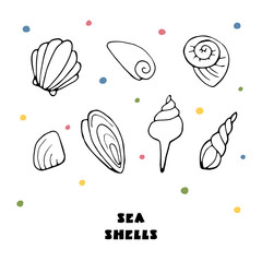 Sea shells vector icon set isolated on a white background. Funny hand drawn shapes. for t-shirts, prints, postcards, design.