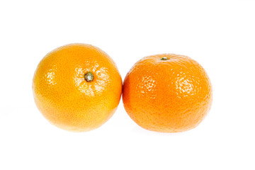 orang isolated on white