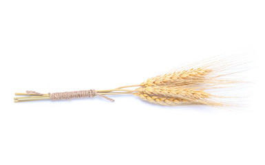Ear of barley rice on white background