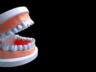 Side of false teeth anatomy or dentures for dental oral care in hospital on black isolated background