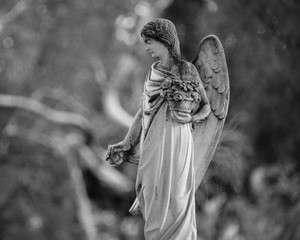 Black & white Angel statue in cemetery with trees in background