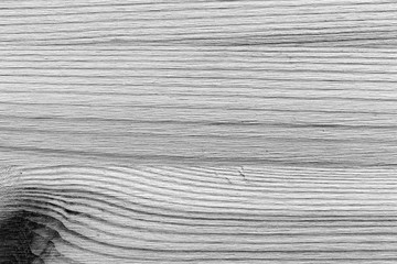 Texture of wood close up. Monochrome wooden background
