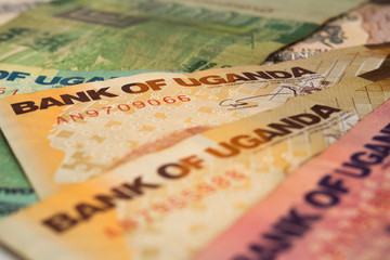 Fototapeta premium Banknotes of Uganda, Ugandan Shilling, close-up