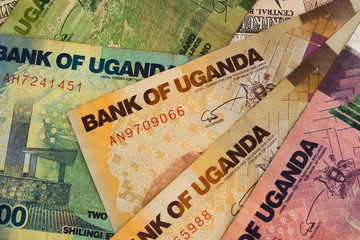 Banknotes of Uganda, Ugandan Shilling, close-up