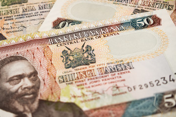 50 Kenyan shilling, close-up, a fragment of a banknote