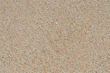 Sandy beach background. Detailed sand texture. Top view